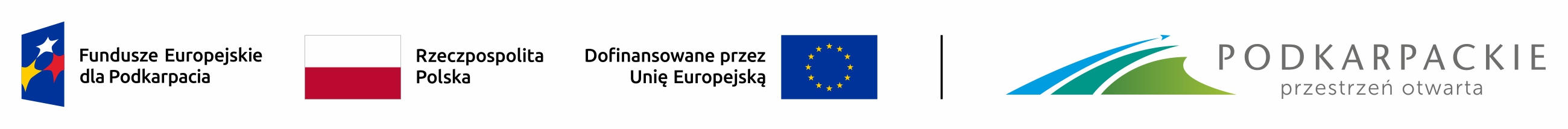 Aktywne NGO logo RGB