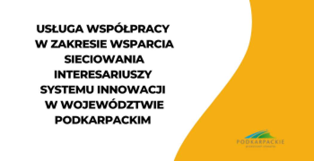 Usługa współpracy w zakresie wsparcia sieciowania interesariuszy systemu innowacji 