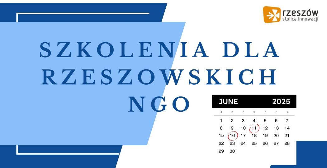 Szkolenie dla rzeszowskich organizacji - czerwiec 2025