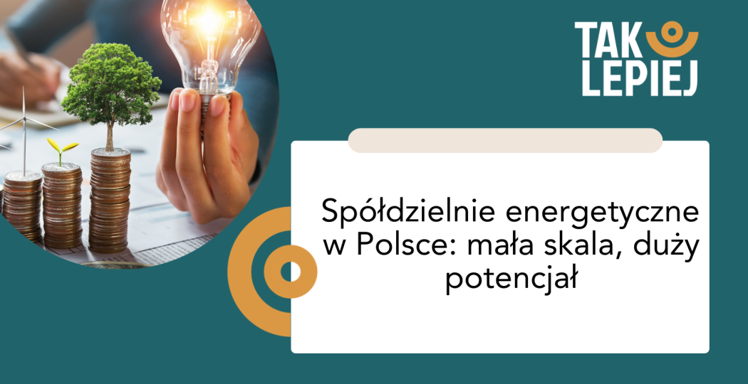 Spółdzielnie energetyczne w Polsce: mała skala, duży potencjał